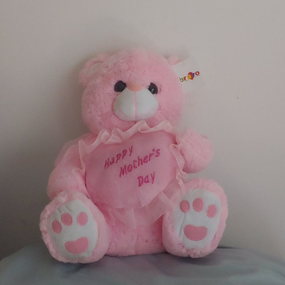 Plush pink Mothers Day 🐻 Bear